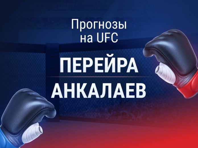 Прогноз Перейра - Анкалаев UFC 313