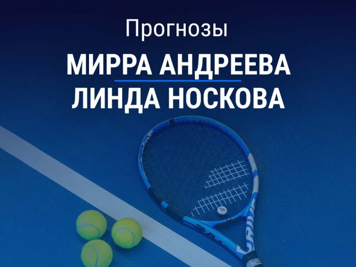 Прогноз Андреева - Носкова
