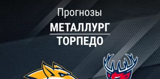 Прогноз Металлург - Торпедо