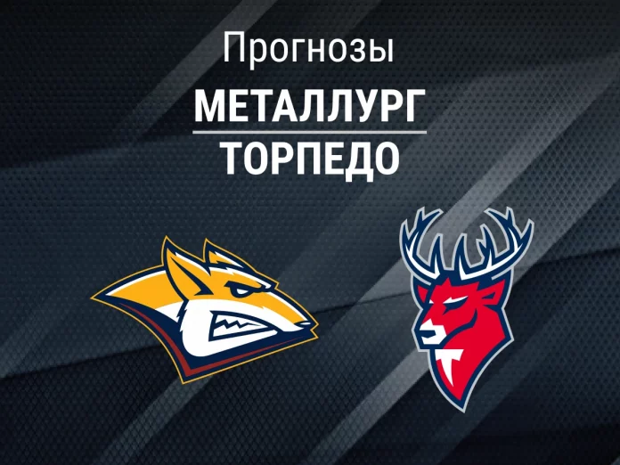 Прогноз Металлург - Торпедо