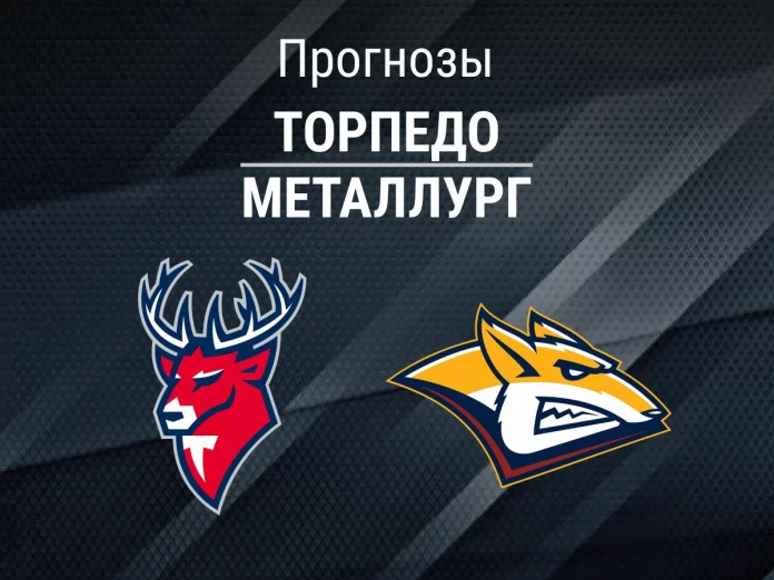 Прогноз Торпедо - Металлург