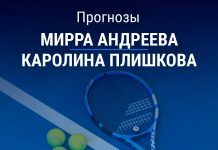 Прогноз Андреева – Плишкова