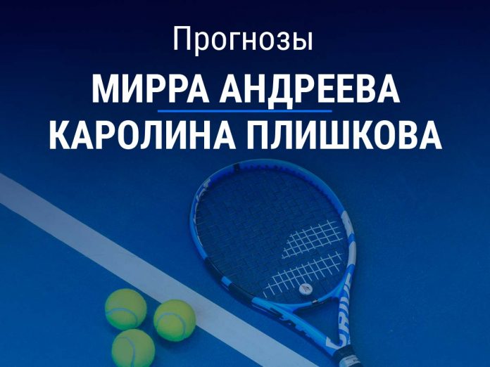 Прогноз Андреева – Плишкова